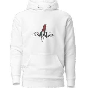 IMG_6781 Carte Palestine 🇵🇸