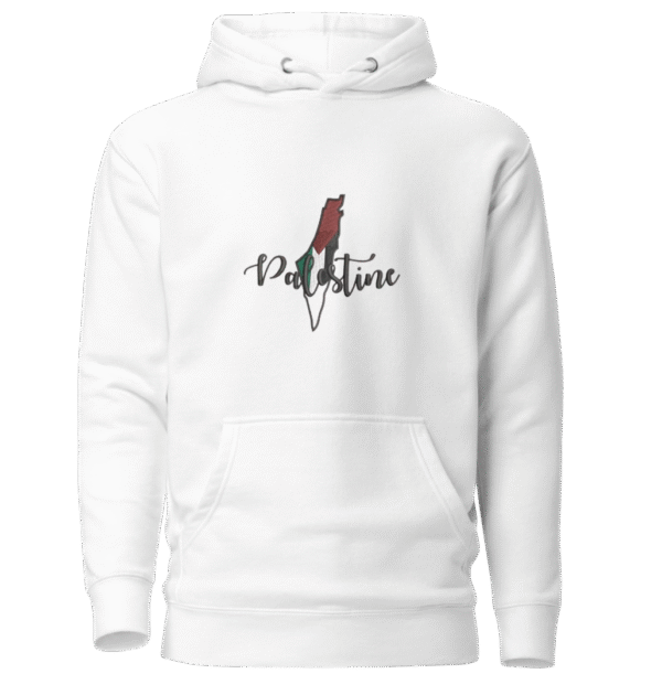 IMG_6781 Carte Palestine 🇵🇸