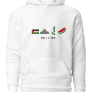image2 Hoodie Palestine